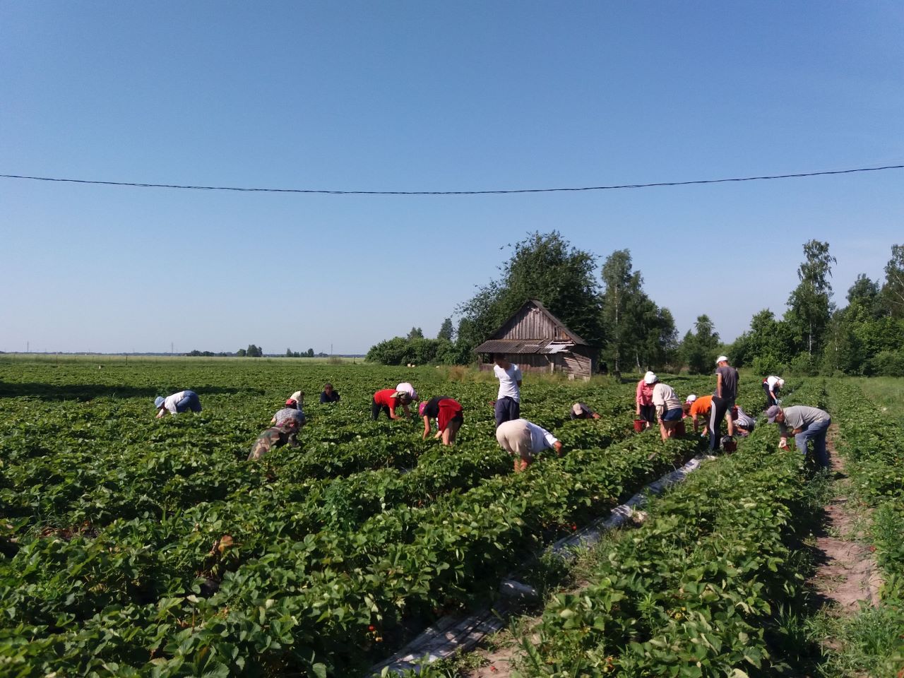 Где подростку работать летом в Беларуси и сколько можно заработать |  Новости Беларуси | euroradio.fm